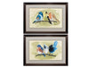 Birds Framed Art