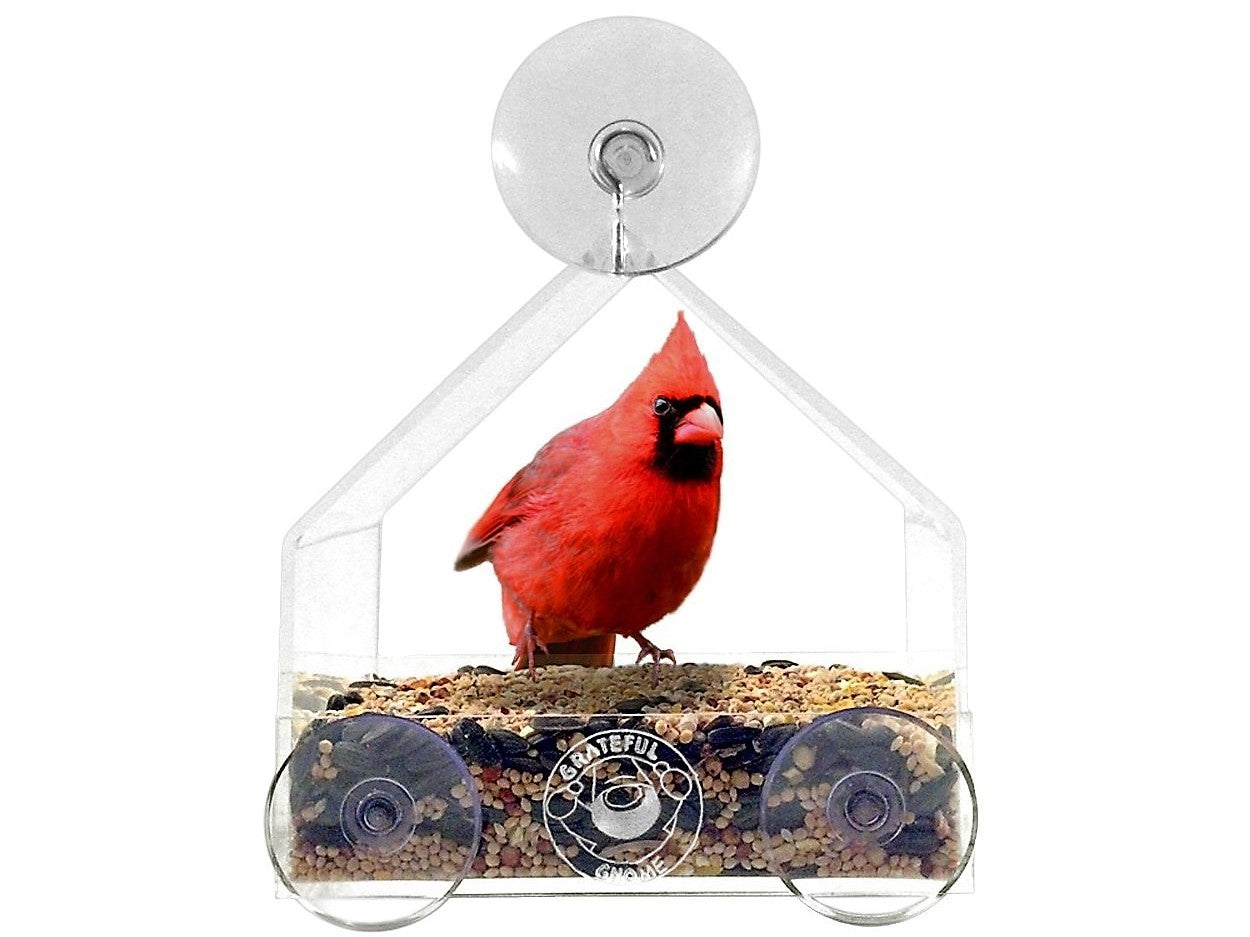 Window Birdhouse